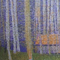 2021.02.27 500pcs Among Birches (2).jpg