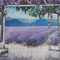 2021.04.28 500pcs Lavender Garden (1).jpg