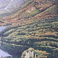 2021.05.27 6000pcs Neuschwanstein Castle (18).jpg