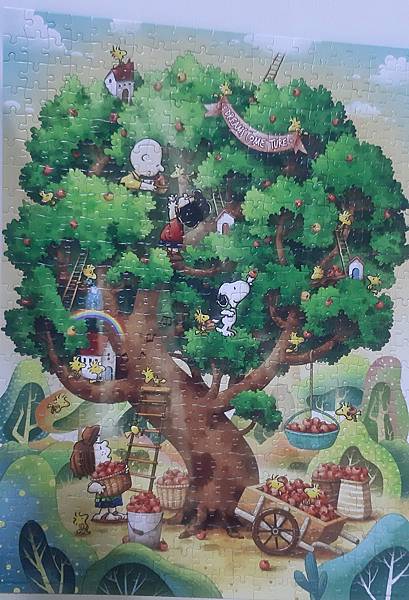 2021.06.22 504pcs Dreams Come True 夢想成真 (1).jpg