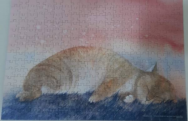 2021.07.30 300pcs 貪睡的猫 (1).jpg