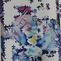 2021.07.30 500pcs Alice.jpg