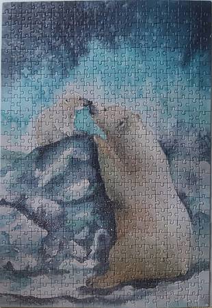 2021.09.12 500pcs Polar Bears (2).jpg