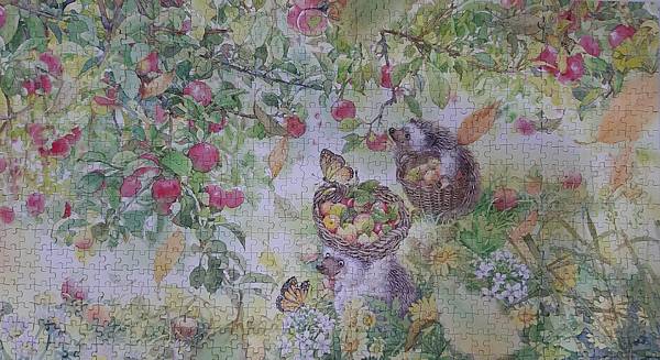 2021.10.06-10.07 800pcs 小刺猬的收穫 (2).jpg