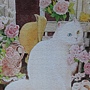 2021.10.14-10.17 1200pcs A Cat in the Rose Garden 悄然盛開 (7).jpg