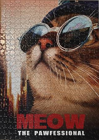 599pcs Meow the Pawfessional'.jpg