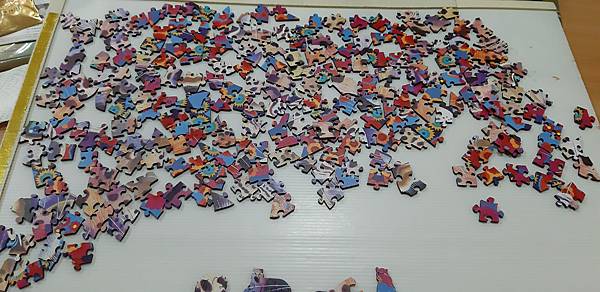 2022.08.30 250pcs A Leopard Never Changes its Spots (2).jpg