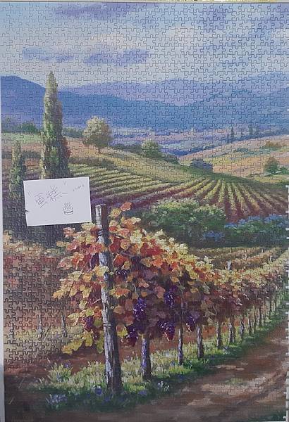 2022.12.05-12.08 3000pcs Vineyard Hill (3).jpg