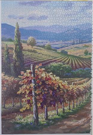 2022.12.05-12.08 3000pcs Vineyard Hill (2).jpg