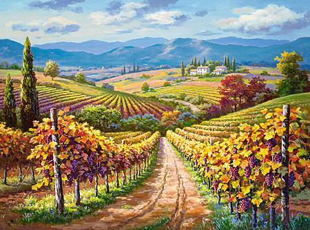 3000pcs Vineyard Hill.jpg