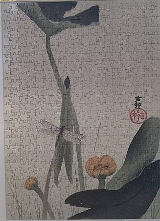 2023.05.06 520pcs 蓮葉上的蜻蜓.jpg