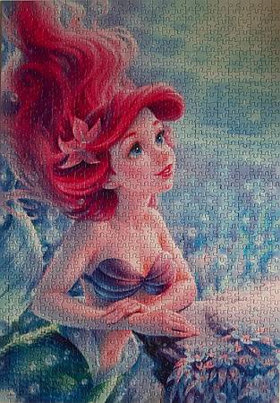 2023.12.16-12.17 1000pcs The Little Mermaid (3).jpg