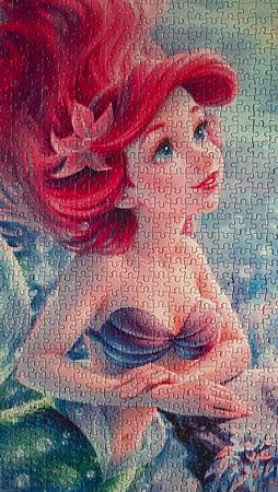 2023.12.16-12.17 1000pcs The Little Mermaid (2).jpg