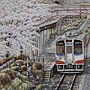 2024.02.26-02.28 1200pcs Sakura in Full Bloom 櫻花盛開 (4).jpg