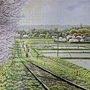 2024.08.19-08.23 1336pcs Rapeseed Flowers Bloom 盛開時節 (1).jpg