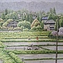 2024.08.19-08.23 1336pcs Rapeseed Flowers Bloom 盛開時節 (4).jpg