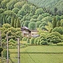 2024.06.14-06.15 1336pcs 追尋夏日的旅程 (2).jpg
