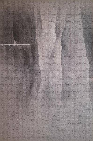 2024.10.02-10.10 1000pcs Tarioko National Park 太魯閣 (1).jpg