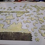 2024.11.11-11.13 1000pcs 畫中人 (1).jpg