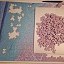 2025.02.16-02.24 500pcs 海遇 (1).jpg