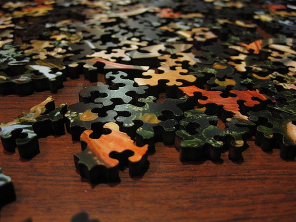 2010.08.19 681片Primavera 開拼 (2).JPG