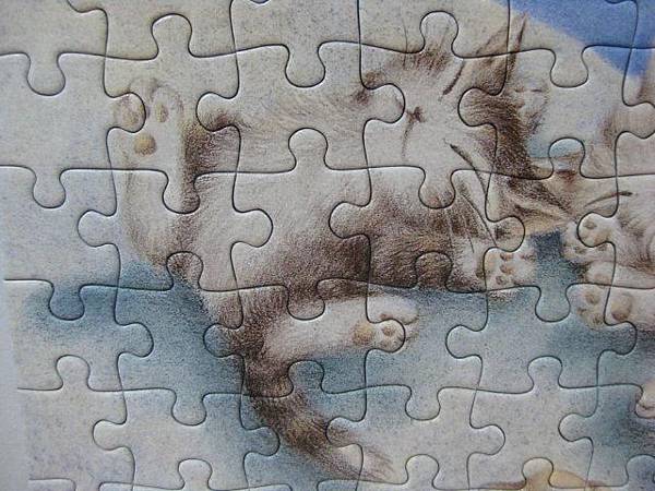 2011.05.22 108 pcs 01-765 (9).jpg