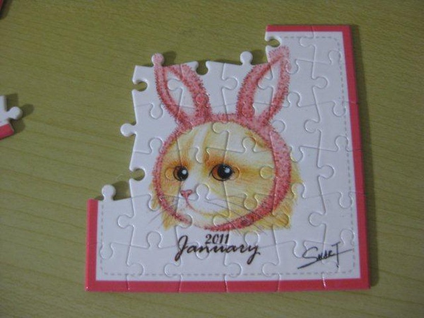 2011.01.30 36片1月份心鼻貓 (3).jpg