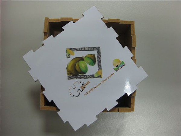 2011.01.04 9 pcs 試拼品_Go Puzzles 翌陽科技有限公 (3).JPG