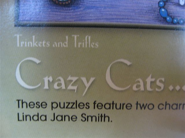 2010.06.14 500x2 Crazy cats in Household Heaven (3).JPG