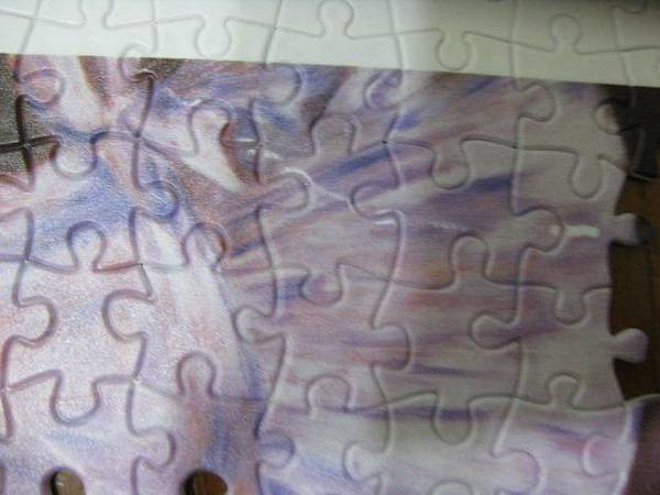 2011.03.27 500 pcs 雷諾瓦 - 詩人之女 (9).jpg