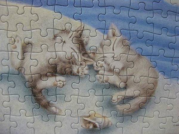 2011.05.22 108 pcs 01-765 (6).jpg