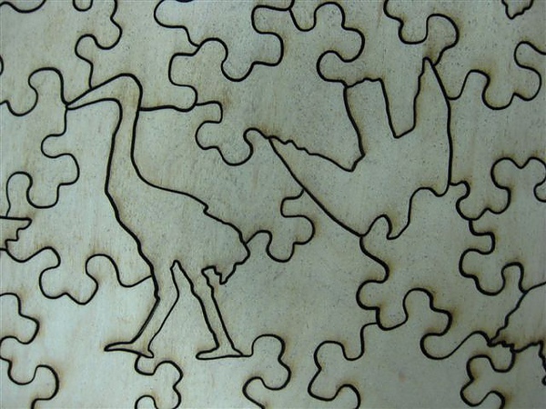 2010.09.03 90 片The Wedding of Jenny Wren (14).JPG