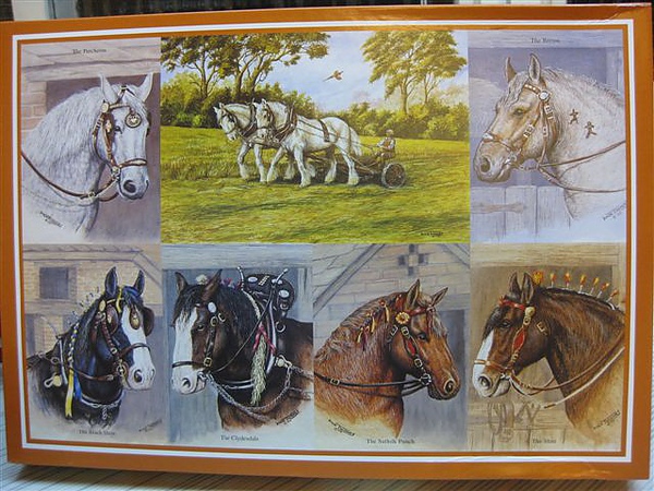 2010.06.22 1000片Heavy Horses.JPG