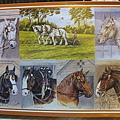 2010.06.22 1000片Heavy Horses.JPG