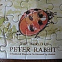2011.04.09 108 pcs Peter Rabbit - Peter and Benjamin 比得與班傑明 (4).jpg