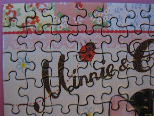 2010.12.31 204 pcs Minnie and Cuddly Bear (14).jpg