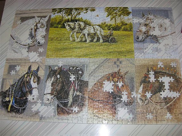 2010.06.22 1000片Heavy Horses (14).JPG