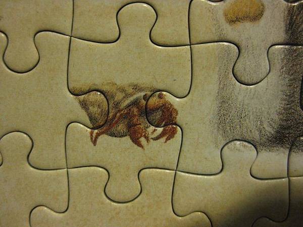 2011.05.22 108 pcs 海的音樂 (8).jpg