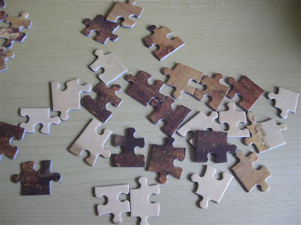 2010.05.30 米勒54片拾穗 (1).JPG