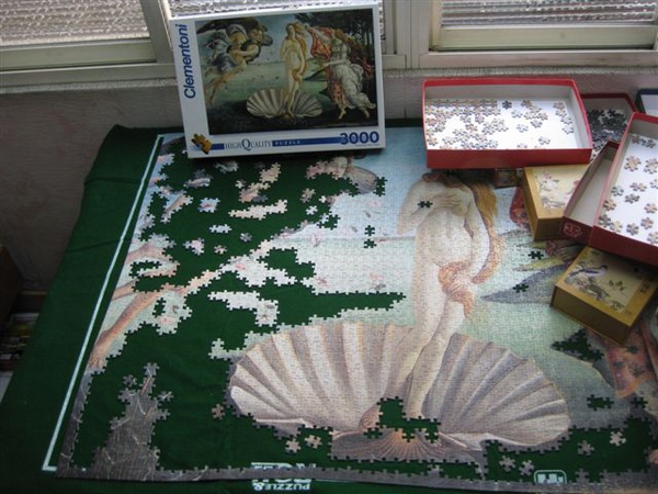 2010.01.03 維納斯的進展.JPG