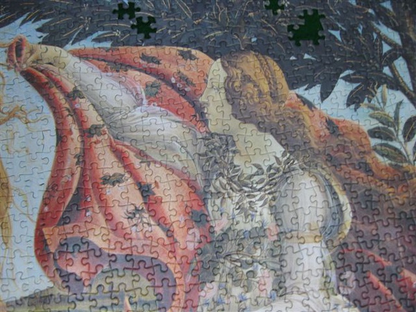 2010.01.03 維納斯的進展 (11).JPG