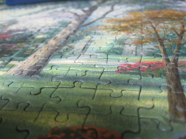 2010.01.11 500片Beyond Summer Gate by Thomas Kinkade (16).JPG