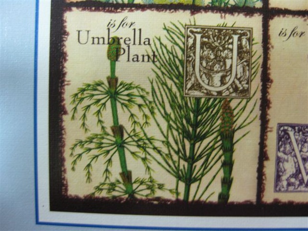 2010.02.08 500片Vintage Flora 外觀 (25).JPG