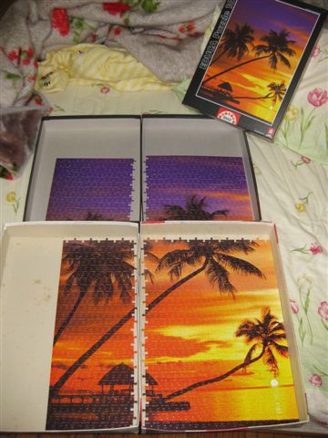 2010.04.10-11 1000片夕陽_馬爾地夫 (13).JPG