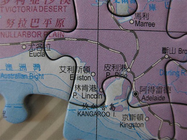 2010.05.12 1000片世界地圖 (40).JPG