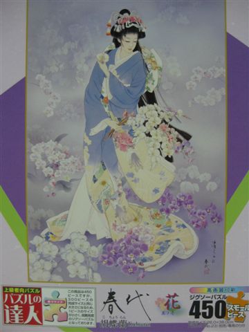 2010.05.13 春代450片胡蝶蘭Kochouran.JPG