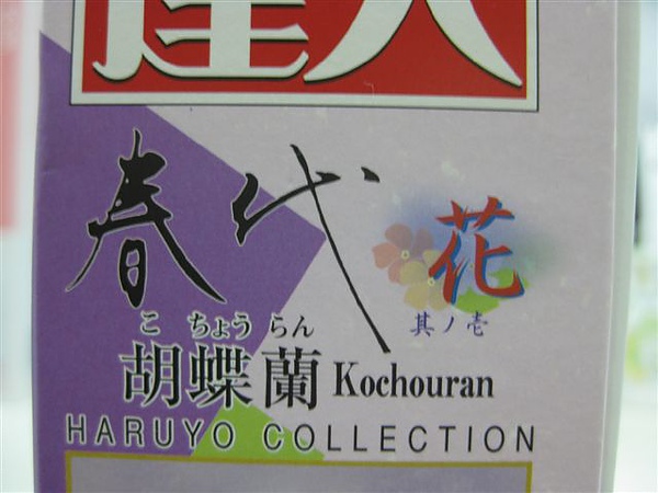 2010.05.13 春代450片胡蝶蘭Kochouran (1).JPG