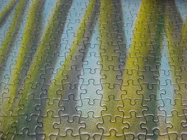 2010.05.23 1000片森林小貓 (11).JPG