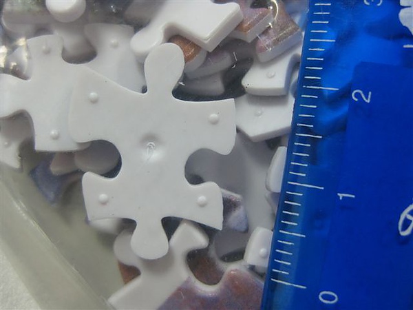 2010.05.25 500片午餐會：亞嘉杜的花園 (10).JPG