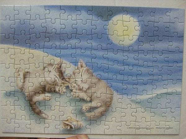 2011.05.22 108 pcs 01-765 (5).jpg